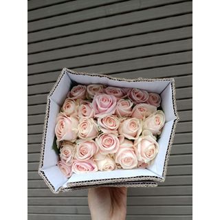 𝐇𝐨𝐚 𝐓𝐮̛𝐨̛𝐢 _Hồng ĐL Kem Dâu_𝐂𝐚̆́𝐦 𝐁𝐢̀𝐧𝐡 (1 Bó 28-30b ) _𝐒𝐡𝐢𝐩 𝐇𝐨̉𝐚 𝐓𝐨̂́𝐜