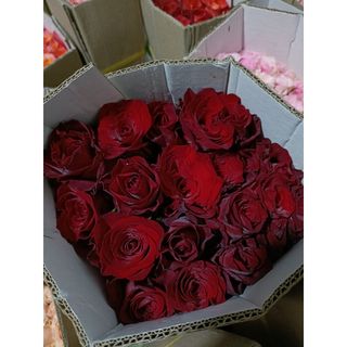 𝐇𝐨𝐚 𝐓𝐮̛𝐨̛𝐢 _Hồng ĐL Đỏ Explore _𝐂𝐚̆́𝐦 𝐁𝐢̀𝐧𝐡 (1 Bó 28-30b ) _𝐒𝐡𝐢𝐩 𝐇𝐨̉𝐚 𝐓𝐨̂́𝐜