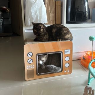 Bàn cào móng kết hợp ổ nằm mẫu Lò Vi sóng