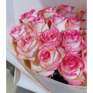 𝐇𝐨𝐚 𝐓𝐮̛𝐨̛𝐢 _Hồng ĐL Song Hỷ_𝐂𝐚̆́𝐦 𝐁𝐢̀𝐧𝐡 (1 Bó 28-30b ) _𝐒𝐡𝐢𝐩 𝐇𝐨̉𝐚 𝐓𝐨̂́𝐜