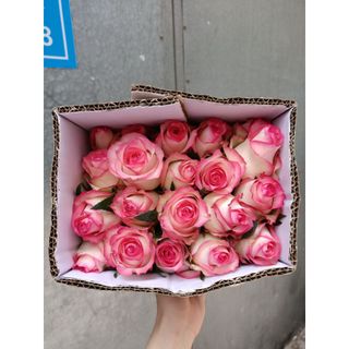 𝐇𝐨𝐚 𝐓𝐮̛𝐨̛𝐢 _Hồng ĐL Song Hỷ_𝐂𝐚̆́𝐦 𝐁𝐢̀𝐧𝐡 (1 Bó 28-30b ) _𝐒𝐡𝐢𝐩 𝐇𝐨̉𝐚 𝐓𝐨̂́𝐜
