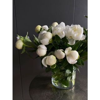 𝐇𝐨𝐚 𝐓𝐮̛𝐨̛𝐢 _Hoa Mẫu Đơn Côn Minh_𝐂𝐚̆́𝐦 𝐁𝐢̀𝐧𝐡 (1 bó ) _𝐒𝐡𝐢𝐩 𝐇𝐨̉𝐚 𝐓𝐨̂́𝐜