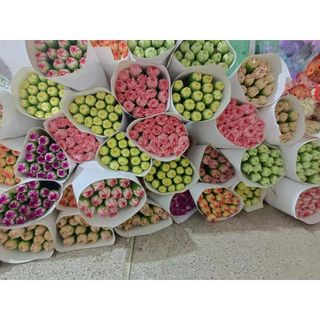 𝐇𝐨𝐚 𝐓𝐮̛𝐨̛𝐢 _Phăng Đơn (Cẩm Chướng)_ 𝐂𝐚̆́𝐦 𝐁𝐢̀𝐧𝐡 (1 bó 20 cành) _𝐒𝐡𝐢𝐩 𝐇𝐨̉𝐚 𝐓𝐨̂́𝐜