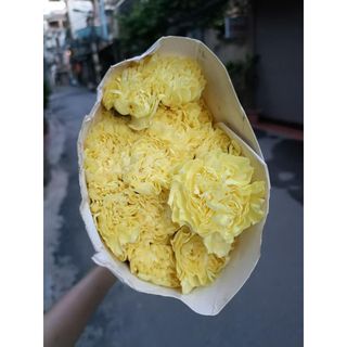 𝐇𝐨𝐚 𝐓𝐮̛𝐨̛𝐢 _Phăng Đơn (Cẩm Chướng)_ 𝐂𝐚̆́𝐦 𝐁𝐢̀𝐧𝐡 (1 bó 20 cành) _𝐒𝐡𝐢𝐩 𝐇𝐨̉𝐚 𝐓𝐨̂́𝐜
