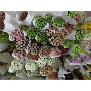 𝐇𝐨𝐚 𝐓𝐮̛𝐨̛𝐢 _Phăng Đơn (Cẩm Chướng)_ 𝐂𝐚̆́𝐦 𝐁𝐢̀𝐧𝐡 (1 bó 20 cành) _𝐒𝐡𝐢𝐩 𝐇𝐨̉𝐚 𝐓𝐨̂́𝐜