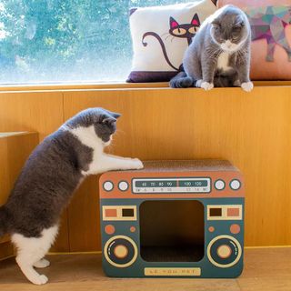 Bàn cào móng mèo kết hợp ổ nằm mẫu Radio