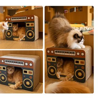 Bàn cào móng mèo kết hợp ổ nằm mẫu Radio