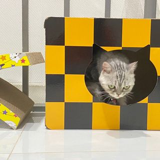 Bàn cào kết hợp ổ nằm mẫu Mèo caro