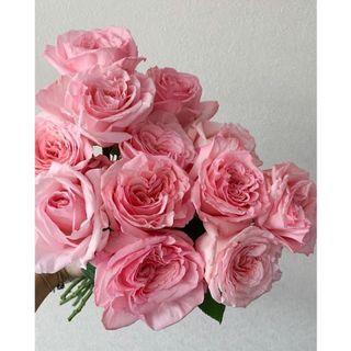 𝐇𝐨𝐚 𝐓𝐮̛𝐨̛𝐢 _Hồng ĐL Ohara Hồng _𝐂𝐚̆́𝐦 𝐁𝐢̀𝐧𝐡 (1 Bó 28-30b ) _𝐒𝐡𝐢𝐩 𝐇𝐨̉𝐚 𝐓𝐨̂́𝐜