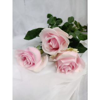 𝐇𝐨𝐚 𝐓𝐮̛𝐨̛𝐢 _Kem Hồng ĐL _𝐂𝐚̆́𝐦 𝐁𝐢̀𝐧𝐡 (1 Bó 30b ) _𝐒𝐡𝐢𝐩 𝐇𝐨̉𝐚 𝐓𝐨̂́𝐜