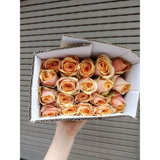 𝐇𝐨𝐚 𝐓𝐮̛𝐨̛𝐢 _Hồng ĐL Divia_𝐂𝐚̆́𝐦 𝐁𝐢̀𝐧𝐡 (1 Bó 28-30b ) _𝐒𝐡𝐢𝐩 𝐇𝐨̉𝐚 𝐓𝐨̂́𝐜