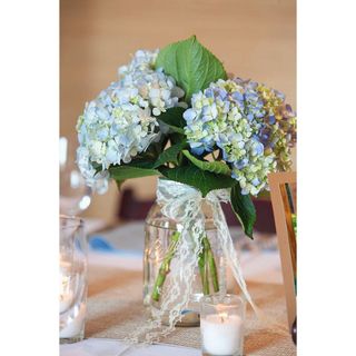 𝐇𝐨𝐚 𝐓𝐮̛𝐨̛𝐢 _Cẩm Tú Cầu Xanh Blue  _𝐂𝐚̆́𝐦 𝐁𝐢̀𝐧𝐡 ( 5 Bông)  𝐒𝐡𝐢𝐩 𝐇𝐨̉𝐚 𝐓𝐨̂́𝐜