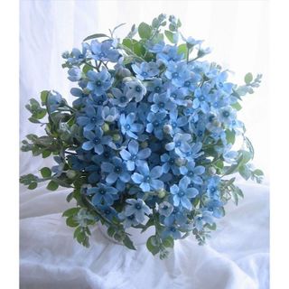 𝐇𝐨𝐚 𝐓𝐮̛𝐨̛𝐢 _Blue star  _𝐂𝐚̆́𝐦 𝐁𝐢̀𝐧𝐡 (𝟏 𝐁𝐨́ 5 cành ) _𝐒𝐡𝐢𝐩 𝐇𝐨̉𝐚 𝐓𝐨̂́𝐜