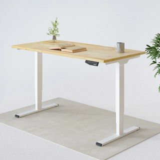 Bàn Làm Việc Điều Chỉnh nâng hạ độ cao  Flexispot 3 Stages Premium Plus VF-ET365