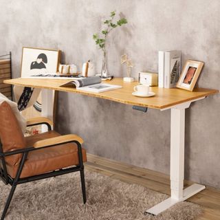 Bàn Làm Việc Điều Chỉnh nâng hạ độ cao  Flexispot 3 Stages Premium Plus VF-ET365