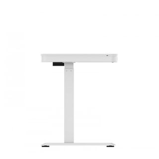 Bàn Làm Việc Điều Chỉnh Nâng Hạ Độ Cao Flexispot VF-ET119W-C