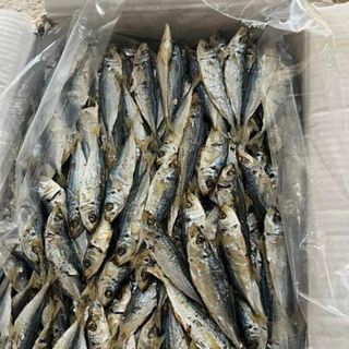 Cá nục hấp nhạt phơi khô nhà làm, cá ăn trực tiếp uống bia rất ngon - size 1kg