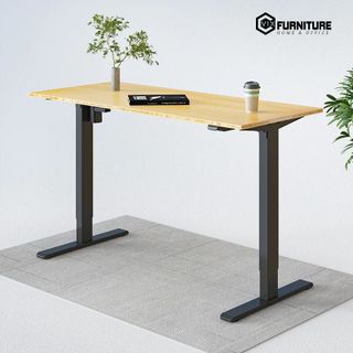 Bàn Làm Việc Điều Chỉnh Nâng Hạ Độ Cao Flexispot VF-ET114G