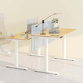 Bàn Làm Việc Điều Chỉnh nâng hạ độ cao Flexispot 3 Stages Premium Plus VF-ET8