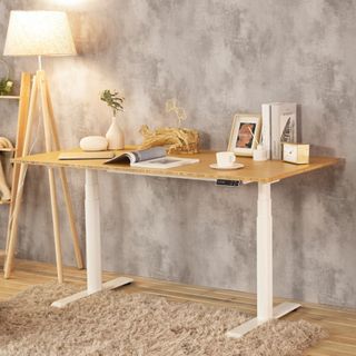Bàn Làm Việc Điều Chỉnh nâng hạ độ cao Flexispot 3 Stages Premium Plus VF-ET8