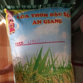 Bao pp dệt đựng hạt giống lúa 50kg giá sỉ