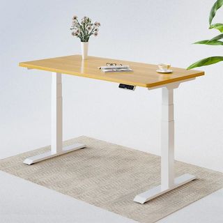 Bàn Làm Việc Điều Chỉnh Nâng Hạ Độ Cao Flexispot 3 Stages Premium Plus VF-ET3