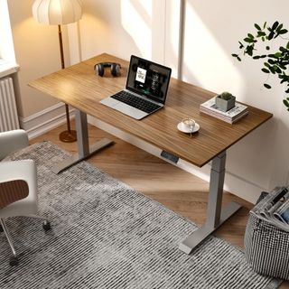 Bàn Làm Việc Điều Chỉnh Nâng Hạ Độ Cao Flexispot 3 Stages Premium Plus VF-ET3