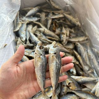 Cá nục hấp nhạt phơi khô nhà làm, cá ăn trực tiếp uống bia rất ngon - size 1kg