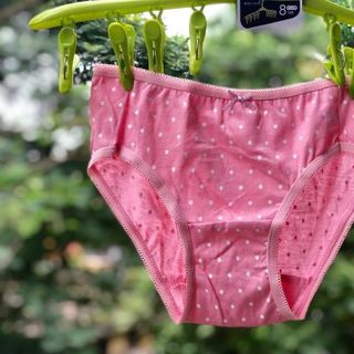 Quần lót nữ cotton cao cấp size M dáng nhỏ nhập khẩu từ Nhật Bản