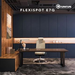 Bàn Điều Chỉnh Nâng Hạ Độ Cao Flexispot 3 Stages Premium Plus VF-E7Q