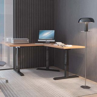Bàn Làm Việc Điều Chỉnh nâng hạ độ cao Flexispot 3 Stages Premium Plus VF-ET3T