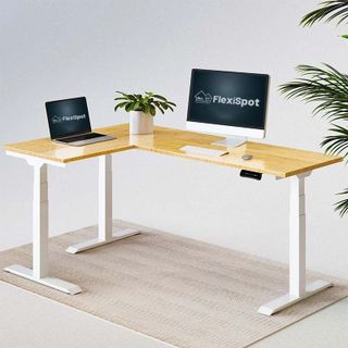 Bàn Làm Việc Điều Chỉnh nâng hạ độ cao Flexispot 3 Stages Premium Plus VF-ET3T