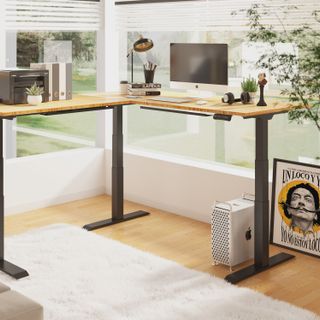 Bàn Làm Việc Điều Chỉnh nâng hạ độ cao Flexispot 3 Stages Premium Plus VF-ET3T