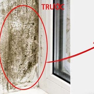 Tẩy Ố Mốc Trần Tường - AT5 Refresh giá sỉ - giá bán buôn