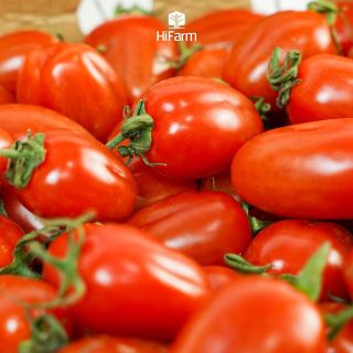 Cà Chua chery đỏ