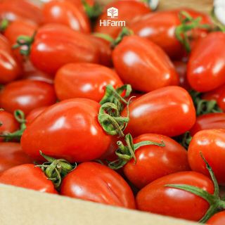 Cà Chua chery đỏ