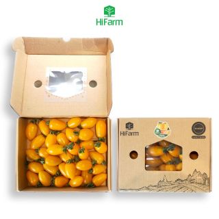 Cà chua Chery (vàng)