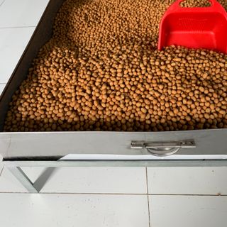 ĐẬU PHỘNG DA CÁ TỎI ỚT BINBIN GIA VỊ ĐẬM ĐÀ, NGON KHÓ CƯỠNG
