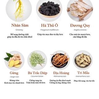 [Chính Hãng] Serum KÍCH MỌC TÓC King Venus (Vs mới của zzVenus): 100% Thiên Nhiên, Kích Tuần Hoàn Máu, Mọc Tóc Con.