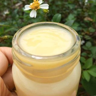 SỮA ONG CHÚA TƯƠI NGUYÊN CHẤT