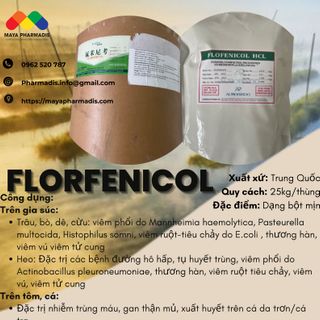 Florfrenicol nguyên liệu sản xuất t h u ố c thú y, thuỷ sản giá sỉ