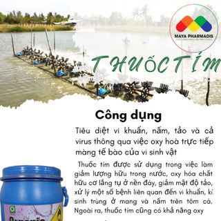 Thuốc tím Ấn