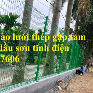 Sản xuất lắp đặt hàng rào lưới thép hàn mạ kẽm sơn tĩnh điện D4,  D5 ,D6 giá sỉ