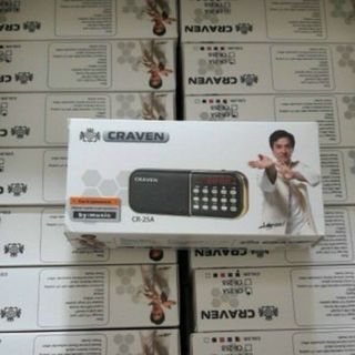 Loa craven CR25A - 1 pin tròn