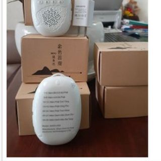 MÁY NGHE KINH PHẬT HÌNH LÁ BỒ ĐỀ AH03