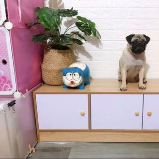 Tủ gỗ đựng đồ đa năng - Tủ trang trí để sàn phong cách hiện đại