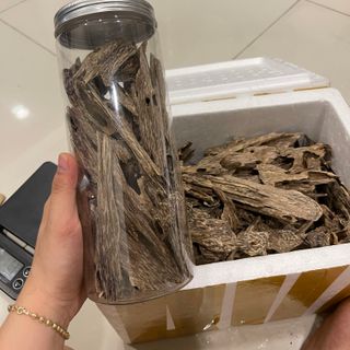 Miếng giác trầm hương tự nhiên xông nhà xông đốt thưởng trầm hương_ Trầm kiến đầu đậm thơm mạnh