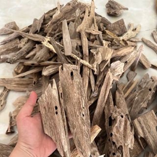 Trầm hương Miếng - giác trầm hương nguyên liệu làm nhang trầm hương cao cấp