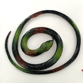Rắn đồ chơi trẻ em dài 68cm đồ chơi rắn nhiều màu