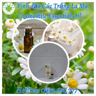 Tinh dầu Cúc trắng La Mã Chamomile essential oil - 10ml giá sỉ